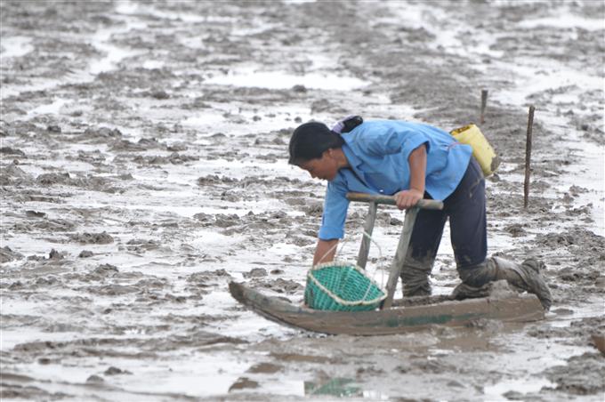 三门讨小海习俗