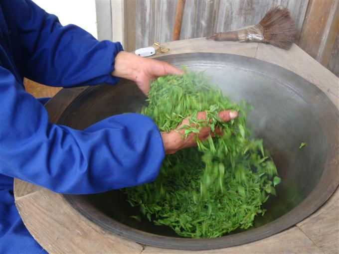 绿茶制作技艺（天台云雾茶制作技艺）