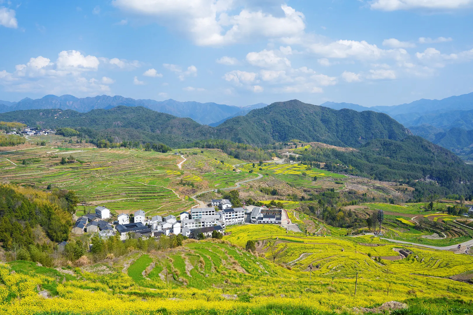台州赏油菜花 Rapeseed Flower Viewing in Taizhou
